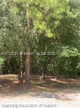 For Sale: $15,900 (0.18 acres)