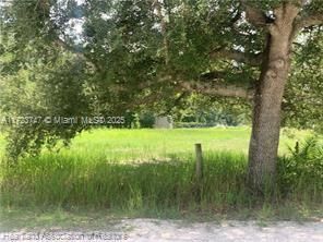 For Sale: $15,900 (0.18 acres)