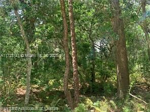 For Sale: $15,900 (0.18 acres)