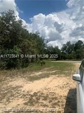 For Sale: $15,900 (0.18 acres)