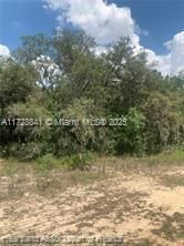 For Sale: $15,900 (0.18 acres)