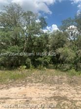 For Sale: $15,900 (0.18 acres)