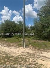 For Sale: $15,900 (0.18 acres)