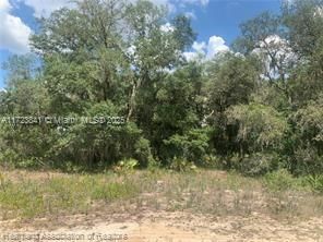 For Sale: $15,900 (0.18 acres)