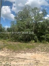 For Sale: $15,900 (0.18 acres)