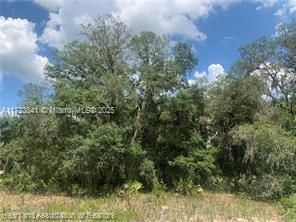 For Sale: $15,900 (0.18 acres)