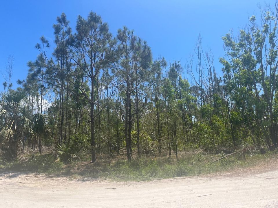 待售: $22,000 (0.09 acres)