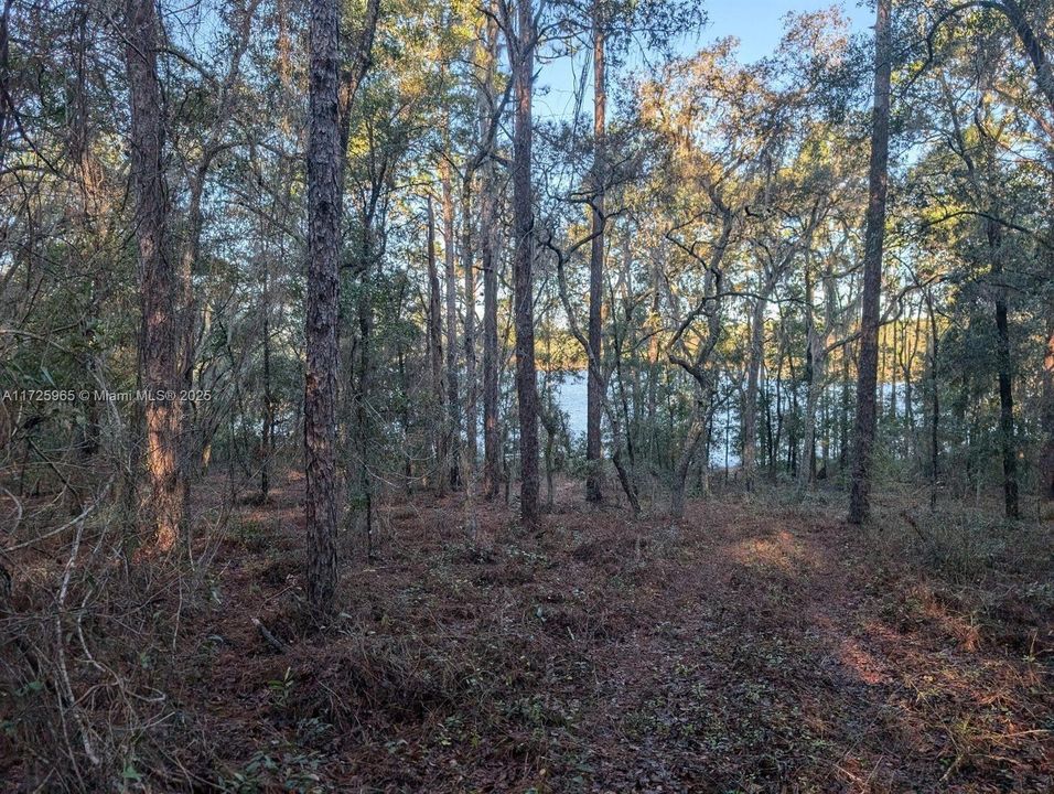 Vendido Recientemente: $33,000 (0.59 acres)