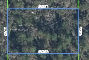 For Sale: $8,900 (0.25 acres)