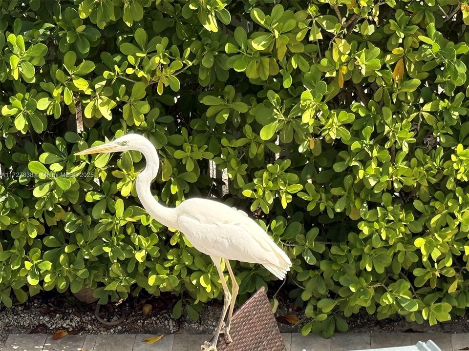 En Venta: $2,192,643 (3 camas, 3 baños, 2625 Pies cuadrados)