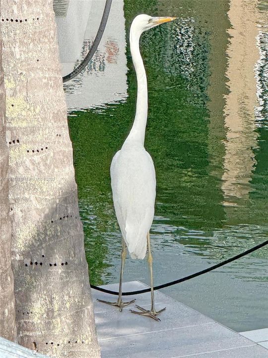 En Venta: $2,192,643 (3 camas, 3 baños, 2625 Pies cuadrados)