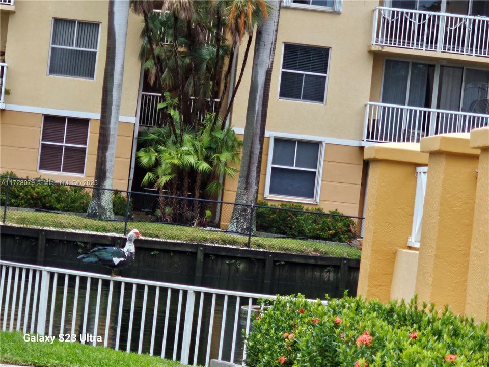 待售: $248,000 (1 贝兹, 1 浴室, 727 平方英尺)