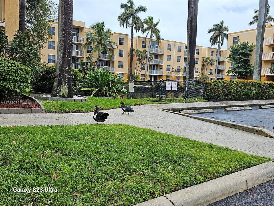 待售: $248,000 (1 贝兹, 1 浴室, 727 平方英尺)