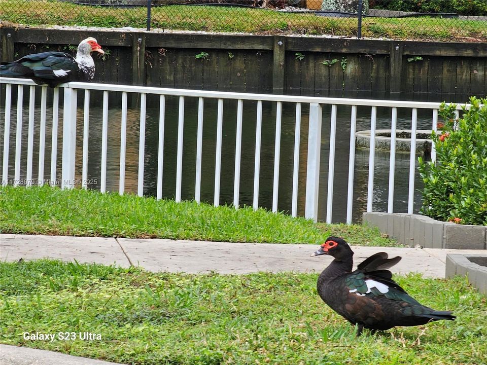 待售: $248,000 (1 贝兹, 1 浴室, 727 平方英尺)