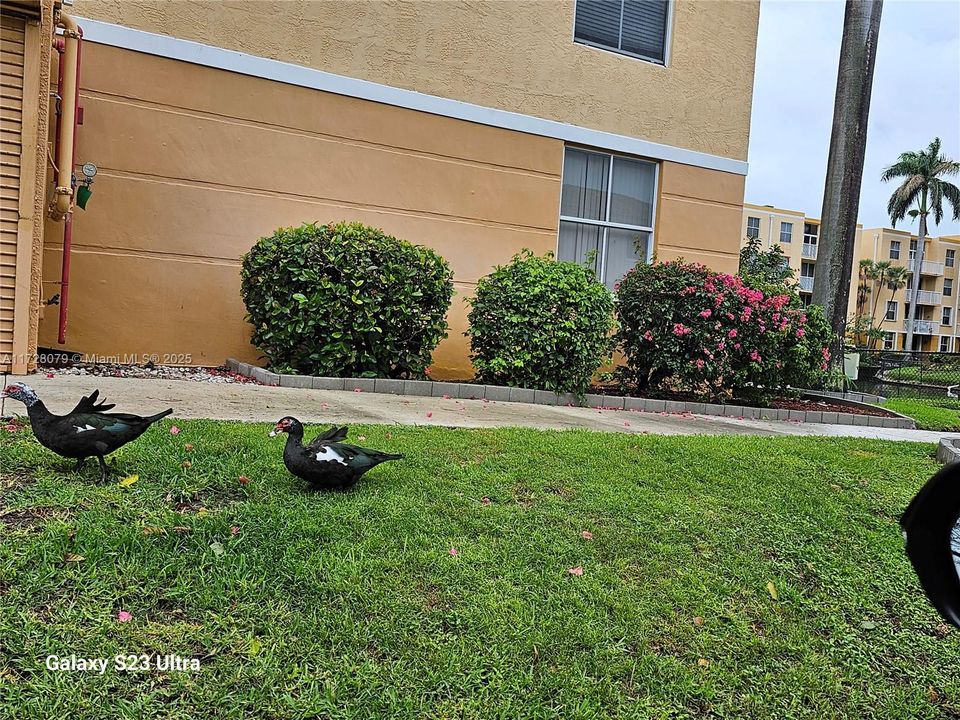 待售: $248,000 (1 贝兹, 1 浴室, 727 平方英尺)