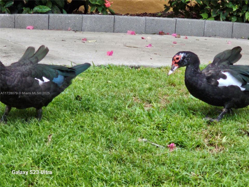 待售: $248,000 (1 贝兹, 1 浴室, 727 平方英尺)