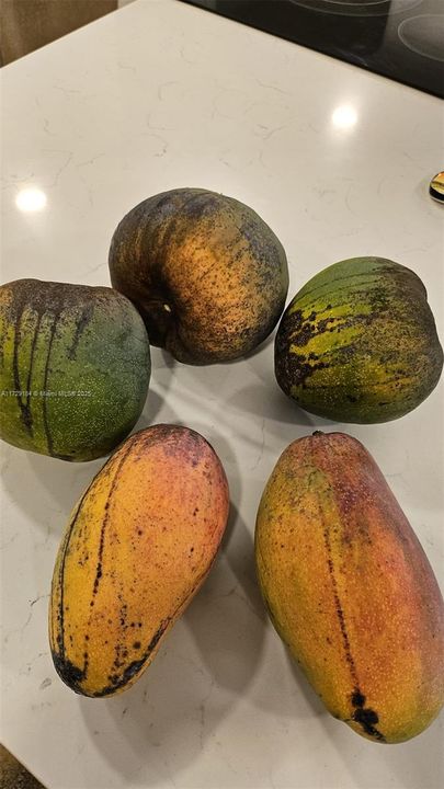 For Sale: $1,399,000 (5 beds, 4 baths, 3091 Square Feet)