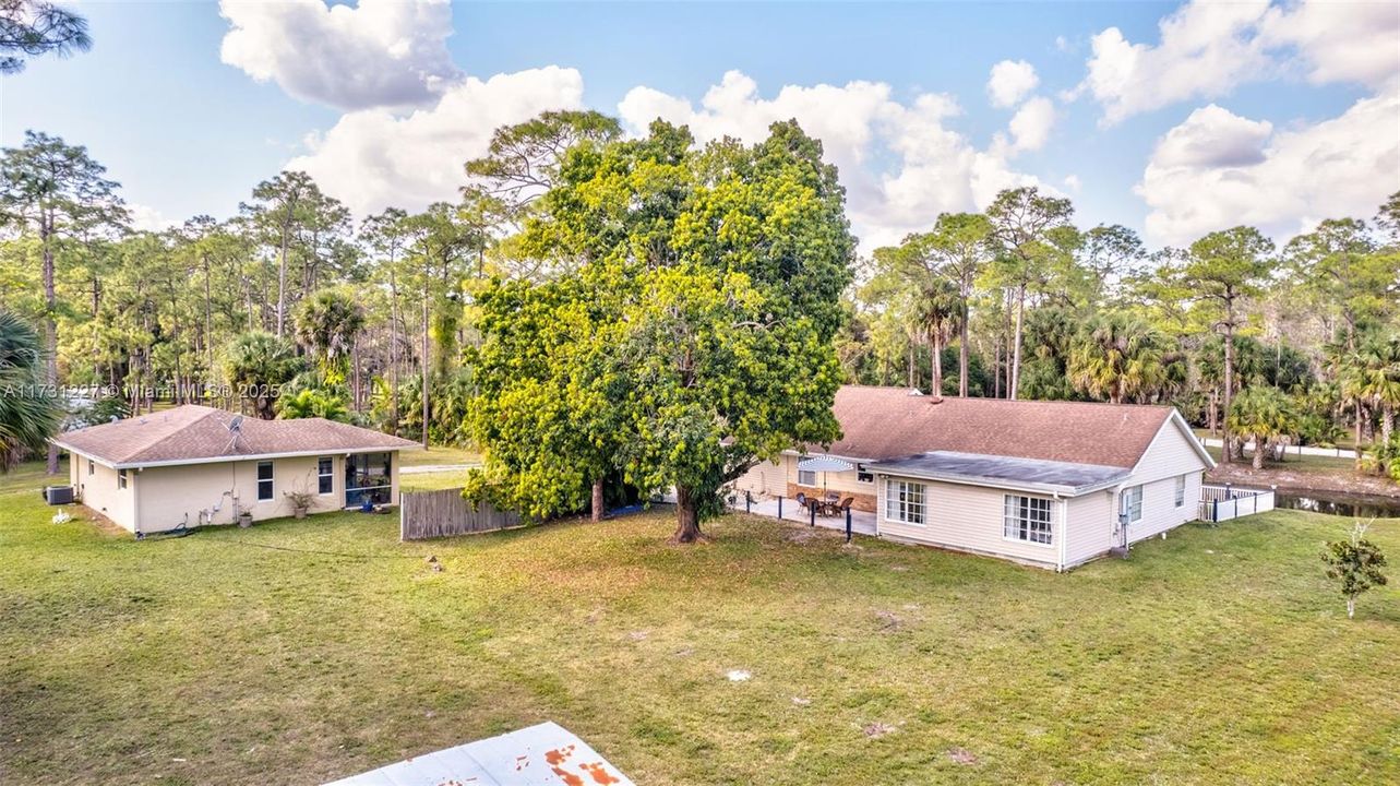 Backyard for Main House and Guest House