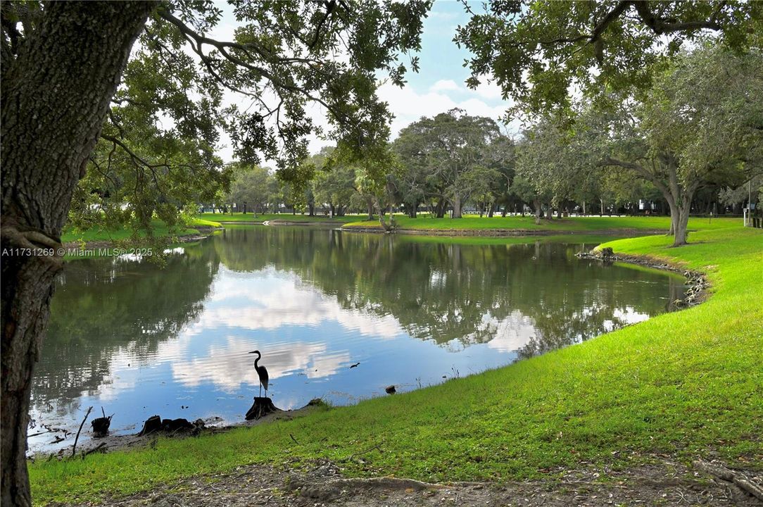 最近售出: $75,000 (1 贝兹, 1 浴室, 620 平方英尺)