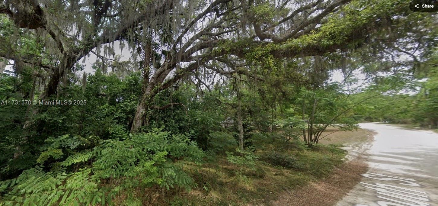 For Sale: $14,500 (0.31 acres)