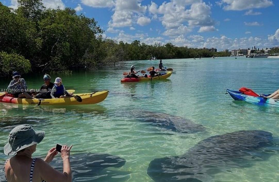 最近售出: $649,000 (3 贝兹, 2 浴室, 1702 平方英尺)