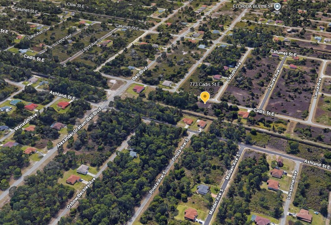 773 CADIS - PIC 1 D 3D VIEW