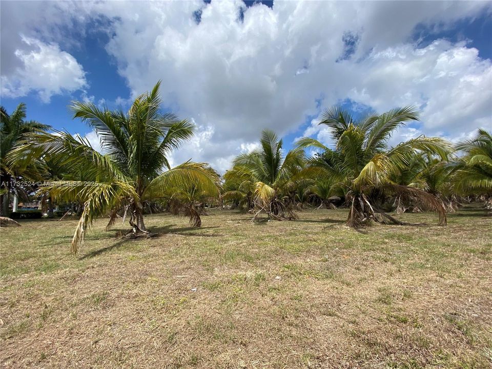 En Venta: $7,600,000 (0 camas, 0 baños, 0 Pies cuadrados)