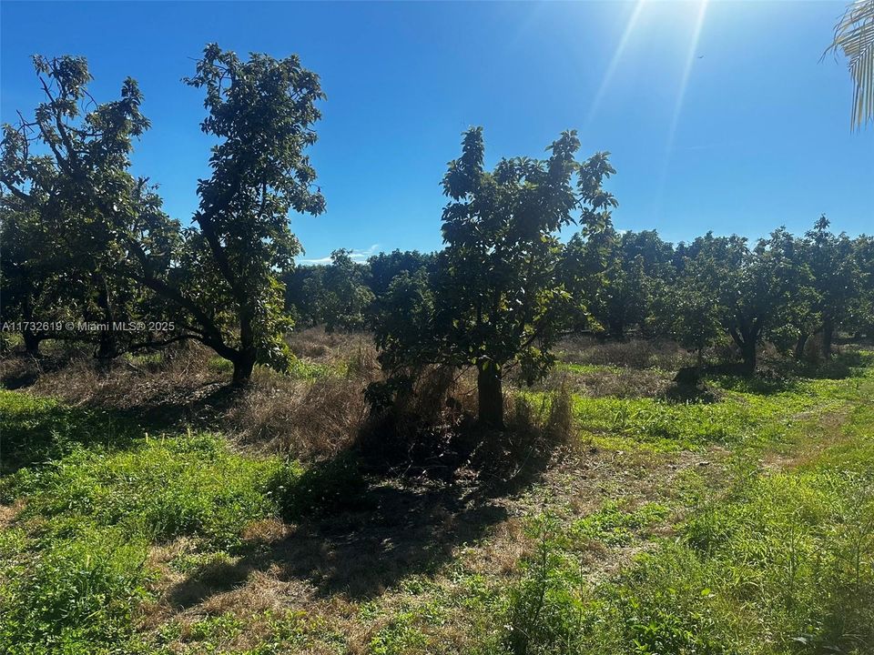 Recently Sold: $5,400,000 (0 beds, 0 baths, 0 Square Feet)