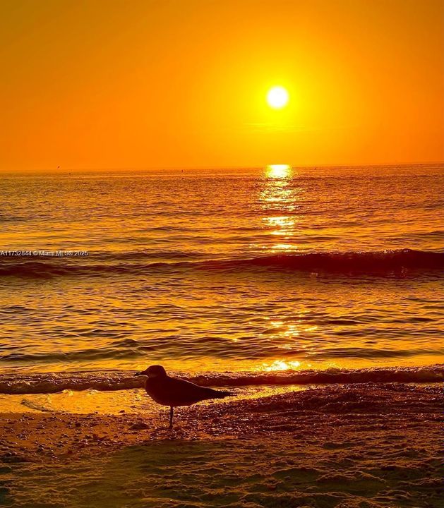 Activo con contrato: $4,000 (3 camas, 2 baños, 0 Pies cuadrados)