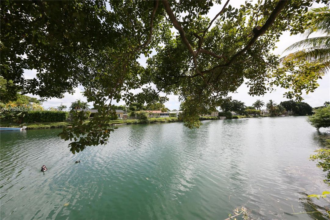 Недавно арендовано: $4,200 (4 спален, 2 ванн, 1992 Квадратных фут)