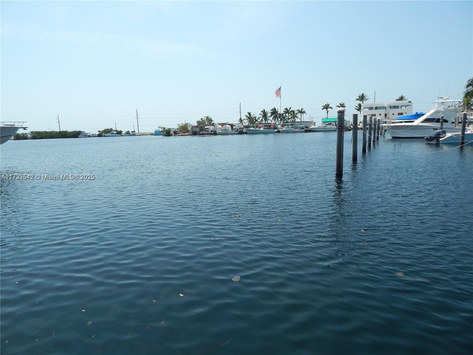 Recently Rented: $3,700 (1 beds, 1 baths, 904 Square Feet)