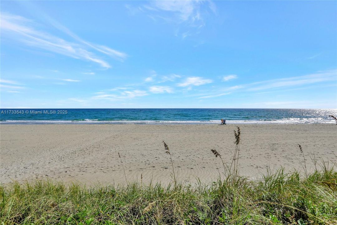 Недавно арендовано: $20,000 (4 спален, 3 ванн, 2300 Квадратных фут)