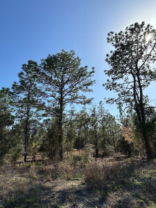 For Sale: $32,000 (0 beds, 0 baths, 0 Square Feet)