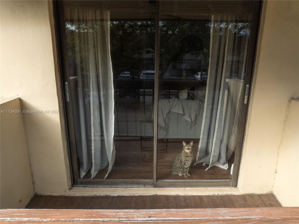 Recently Rented: $2,350 (2 beds, 1 baths, 890 Square Feet)