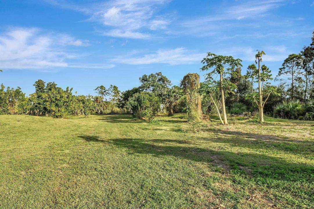 LAND AND FRUIT TREES