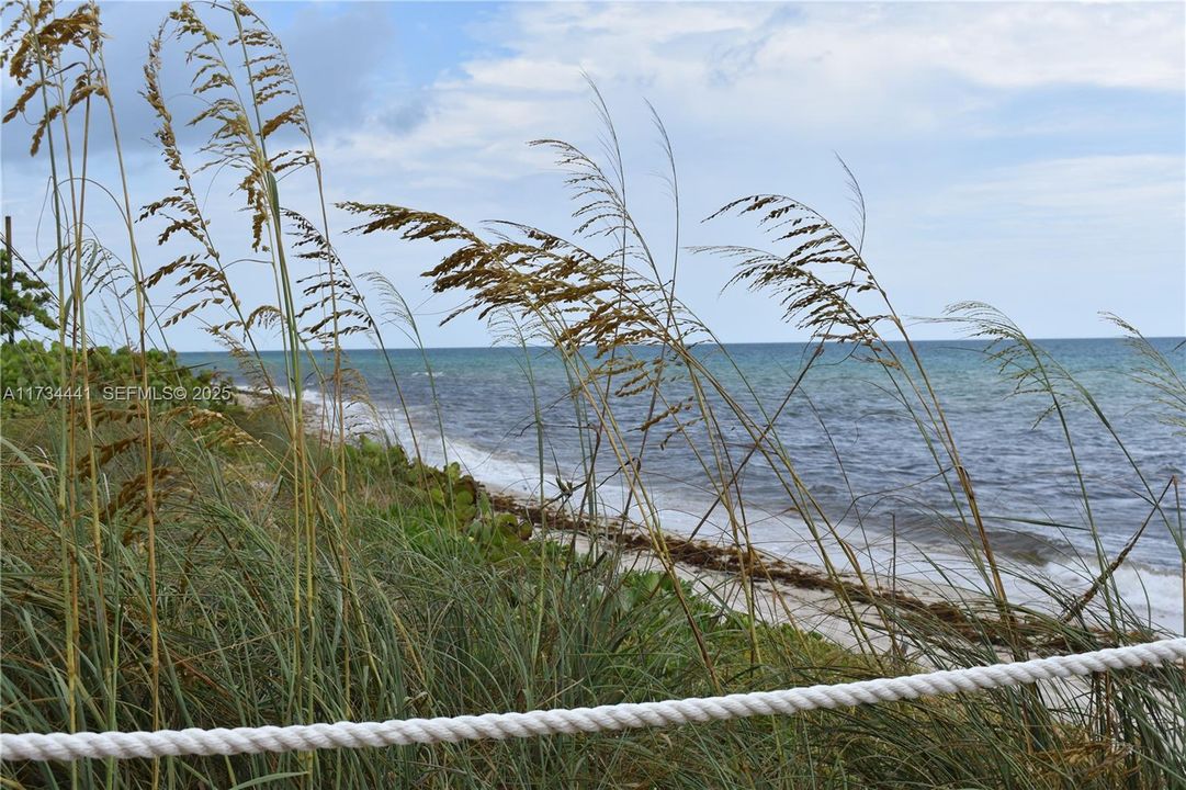 For Sale: $2,749,000 (3 beds, 2 baths, 1761 Square Feet)