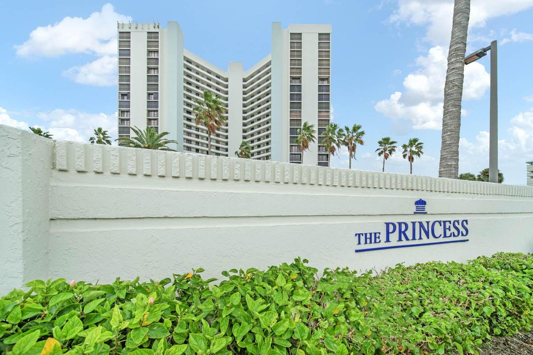 071_-_Entry_-_Princess