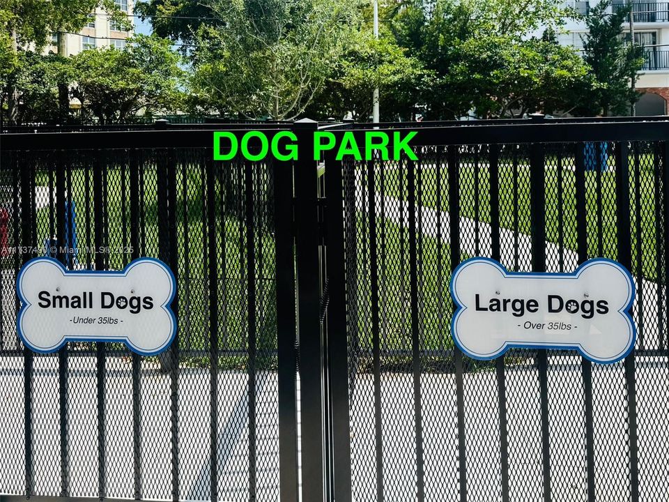walk to dog Park