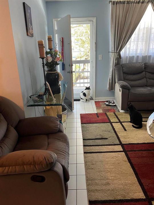 Entrance/Living room
