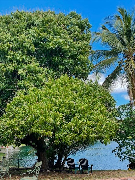 На продажу: $850,000 (5 спален, 3 ванн, 2209 Квадратных фут)