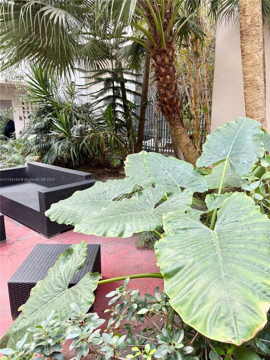 待售: $228,400 (0 贝兹, 1 浴室, 408 平方英尺)