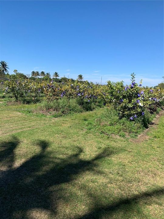 Active With Contract: $259,000 (1.88 acres)