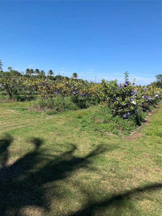 Active With Contract: $259,000 (1.88 acres)