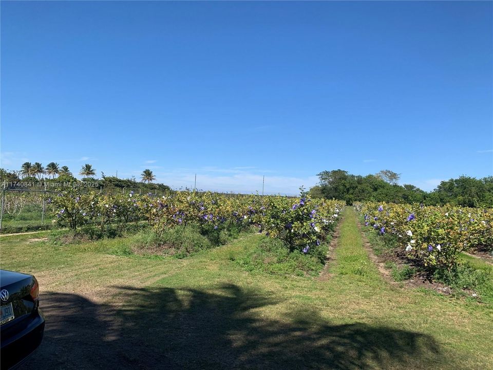 Active With Contract: $259,000 (1.88 acres)