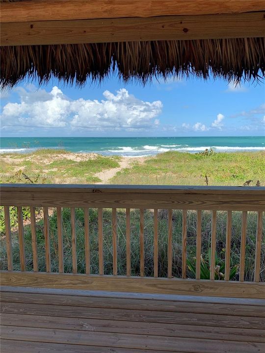 OCEAN VIEW FROM TIKI HUT