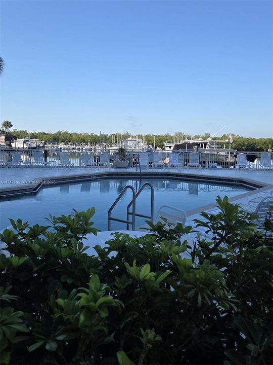 POOL OVERLOOKING THE MARINA