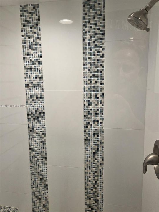 PRIMARY SHOWER