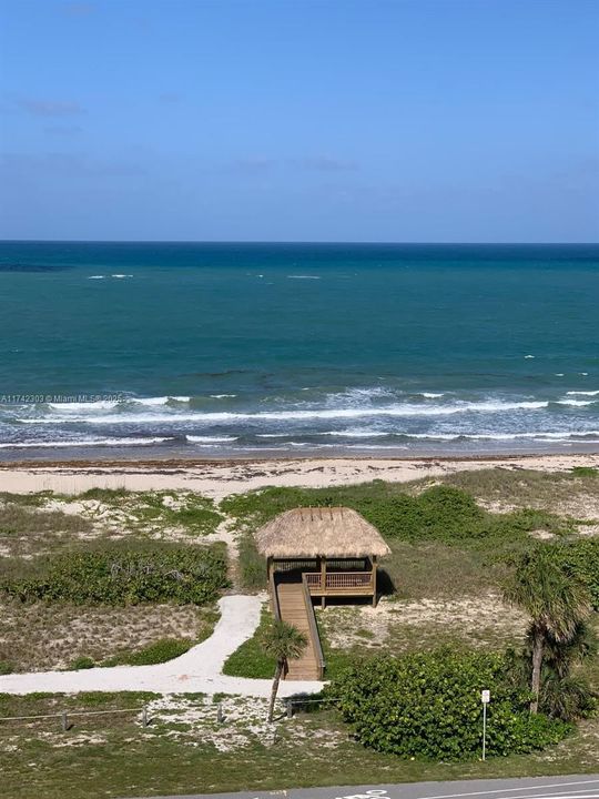TIKI HUT