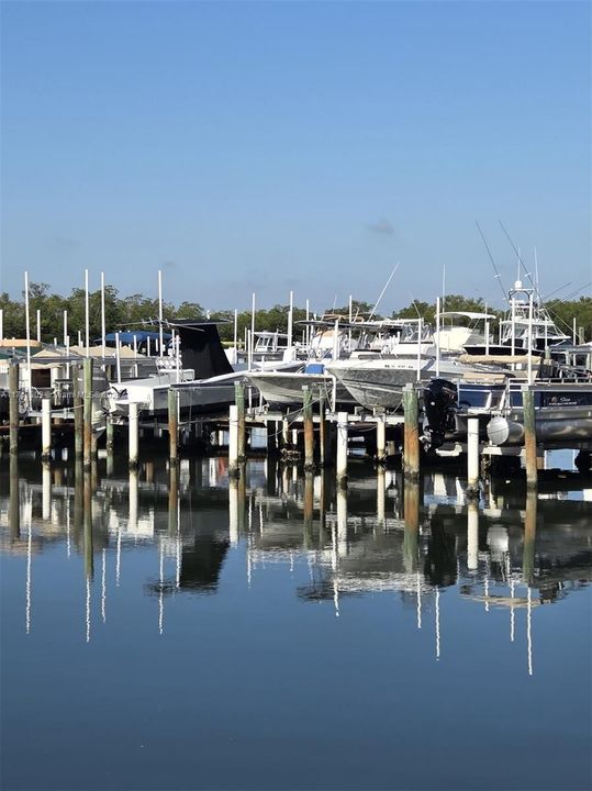 MARINA