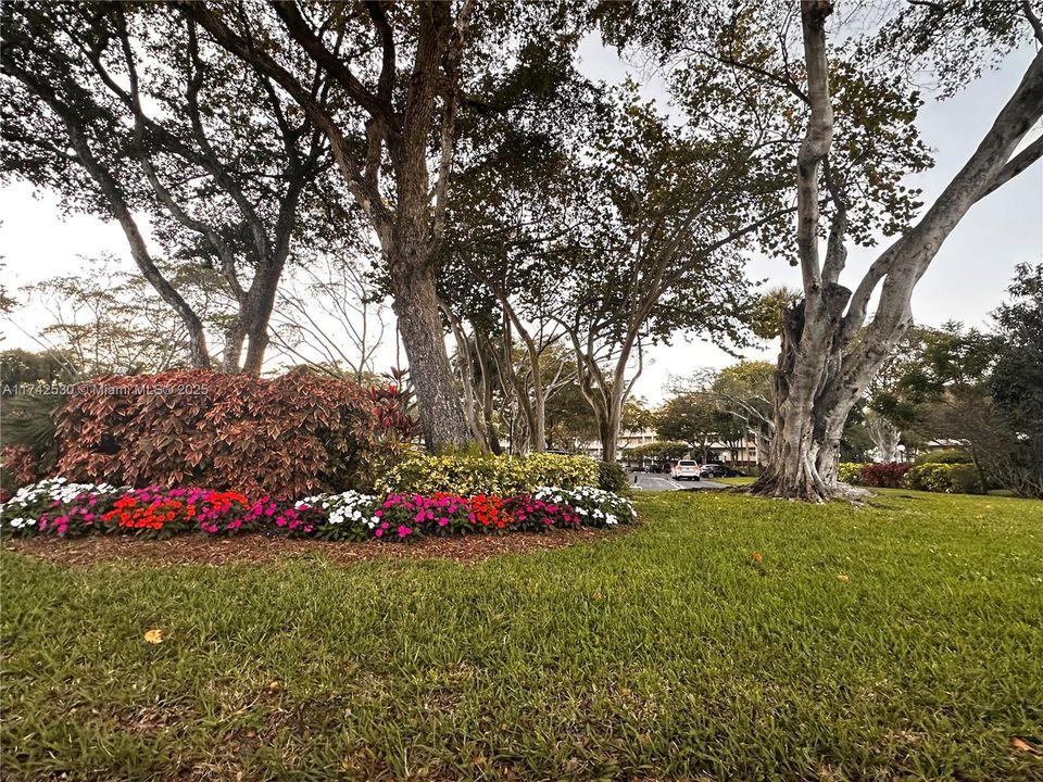 出租: $2,625 (3 贝兹, 3 浴室, 1620 平方英尺)